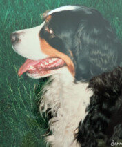 Anka