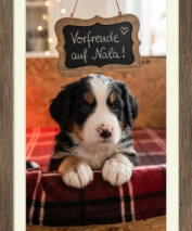 Nala